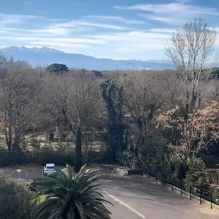 公寓 Avec Place De Parking - Proche Commerce Et 滨海阿热莱斯